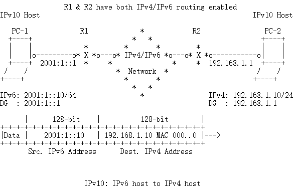 IPv6还未完成，IPv10已来！P4带你进入IPv10的世界