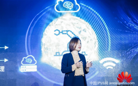 通过各种 IPv4 到 IPv6 演化技术，操作员可以平稳过渡到 IPv6。来自EANTC和华为的专家探索IPv6解决方案。