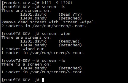 linux screen 命令详解 screen后台跑任务利器 多窗口随时可关闭可恢复