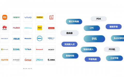 IPv6测试加速网络/安全/智能终端产品出海 持续推动全球IPv6部署