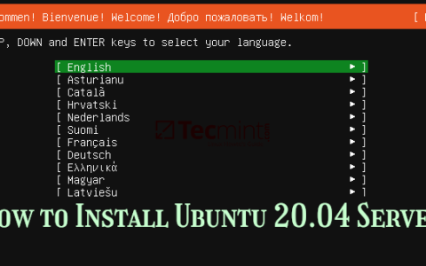 Ubuntu20.04服务器版安装文字详细教程