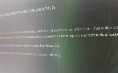 PS5 IPV6内核漏洞。TheFloW将在即将召开的信息安全会议上披露更多信息，其他黑客已经在实施。