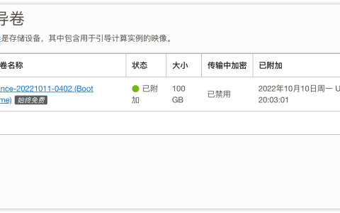 甲骨文云(OracleCloud) ARM架构云主机救援教程 变砖后怎么复活