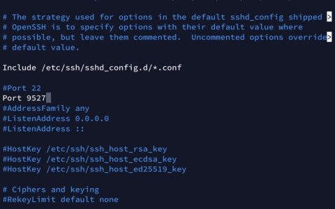 新开VPS或者云主机，5个必备的基本优化操作流程