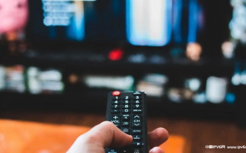 2023年海外华人十大最受欢迎的影视娱乐视频网站排名