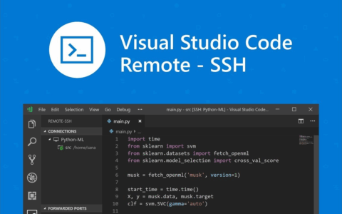 VS Code 远程开发常见故障排查：Remote SSH 频繁断连解决方案