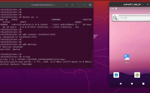 在linux系统上通过Redroid搭建自己的虚拟安卓云手机保姆级教程