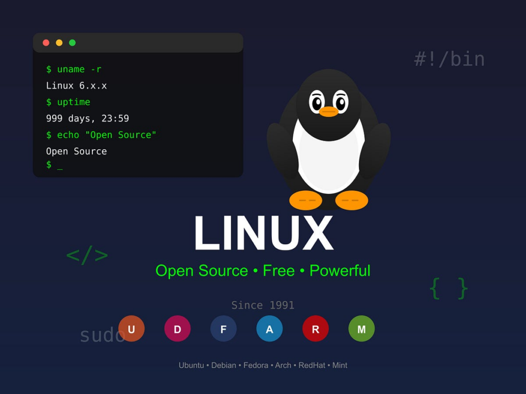 OpenClaw AI 助手框架 Linux 平台完整部署教程，包含官方指南、空白服务器部署、国内模型适配和常见问题解决(2026最新版)