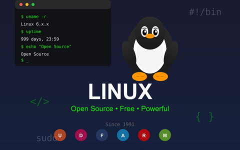 OpenClaw AI 助手框架 Linux 平台完整部署教程，包含官方指南、空白服务器部署、国内模型适配和常见问题解决(2026最新版)
